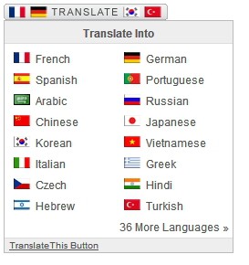 Fordító gomb weboldalban